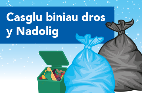 Casglu biniau dros y Nadolig